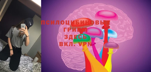 спиды Арсеньев