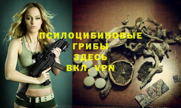 спиды Арсеньев