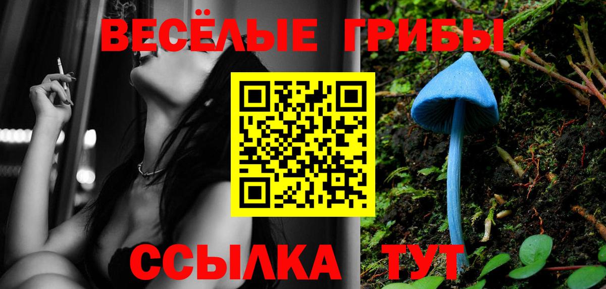 Псилоцибиновые грибы ЛСД Казань