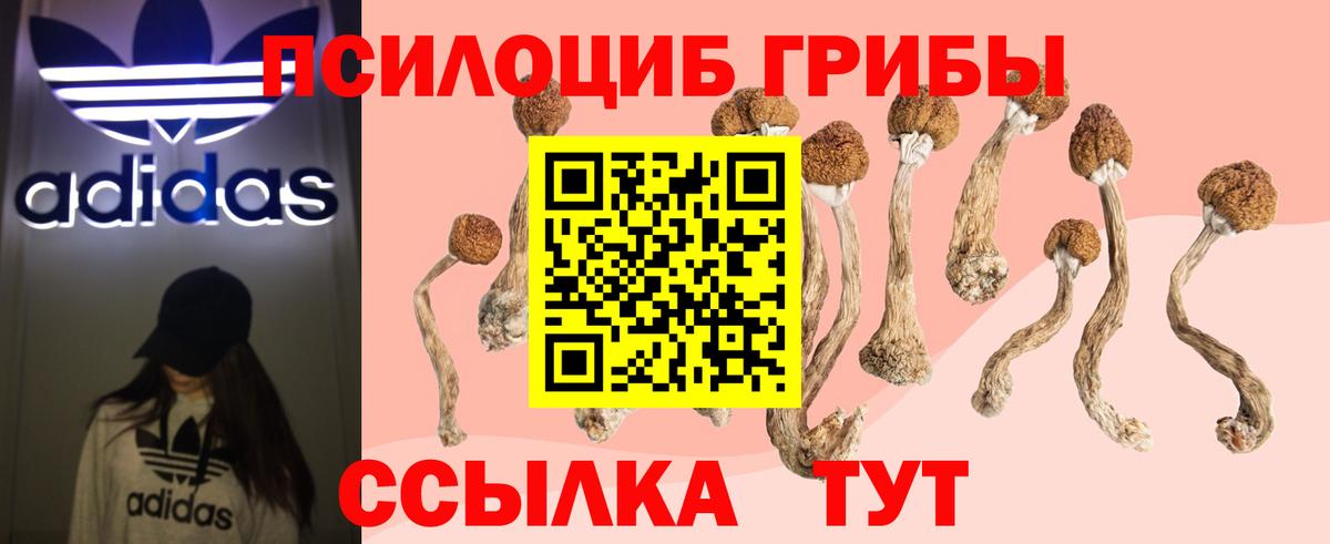 Казань  Галлюциногенные грибы Psilocybine cubensis  Вход с VPN 